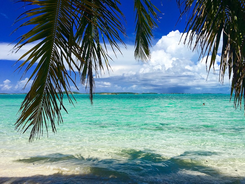 globedge-travel-bahamas-beach-water-palm-trees